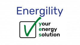 Copy of Check 1 LC Logo 4 (Website)
